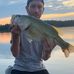 Forrest Whitehead - Facebook
