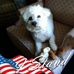 Forrest Woody Whitman - Facebook