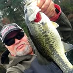 Forrest Wilkinson - @forrestw67 - Instagram