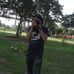 Forest Wolf - Facebook