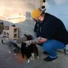 Forrest Wolf - @king.confusion - TikTok