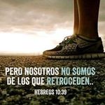 Fortunato Chavez - @chavezfortunato - Instagram