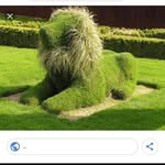 Leovigildo Fortunato Herrera Ramirez - @leoherrera455 - Instagram
