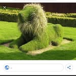 Leovigildo Fortunato Herrera Ramirez - @leovigildofortunato - Instagram