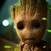 user9484569424937 - @fortunesithole1 - TikTok