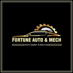 Fortune Williams - @fortuneautomech - Instagram