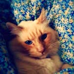 Foster - @fosteratkinson - Instagram