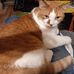 Foster Baker - Facebook