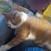Foster Baker - Facebook