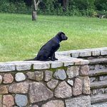 Foster Ball - @flyboy1562 - Instagram