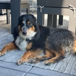 @fosterfailbaxter - Instagram