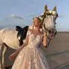 beacherfoster47 - @beacherfoster47 - TikTok