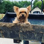 Foster Branch Designs - @fosterbranchdesigns - Instagram
