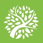 Olive Branch Fostering - @olivebranchfostering - Instagram