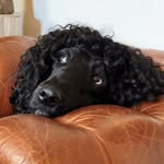Foster A Brown - @foster.brown - Instagram