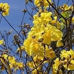 Foster Chang - @changyoulaiwang - Instagram