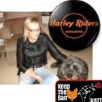 Sue Foster-Collins - @suefostercollins - Instagram