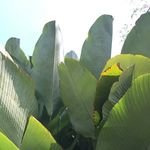 Foster_Green_Haus - @foster_green_haus - Instagram