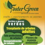 Fostergreen - @fostergreen.sas - Instagram
