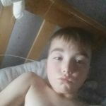 harvey - @fostergreenharvey - Instagram