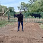 morris foster - @morrisfoster13 - Instagram