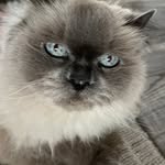foster - @fostermorrison - Instagram