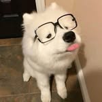 Foster Smith - @_fostersmith - Instagram