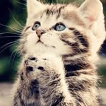 Foster Smith - @fostermamma1 - Instagram