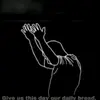 @fosterwallace - @user48600586850922 - TikTok