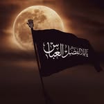 Fouad Abbas - @canary_35 - Instagram