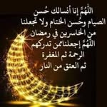 FOUAD HAKIM - @fouadhakim8 - Instagram
