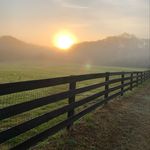 Four Oaks Farm - @four.oaks.farmgirl - Instagram