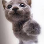 Fox Chen - @foxchen0613 - Instagram