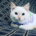 Healt Fox - Facebook