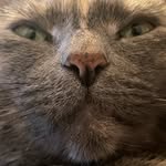 @fox_hunter17 - Instagram