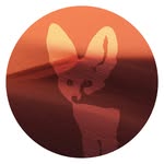 Foxlee Music - @foxleemusic - Instagram