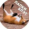 Fox Silver - @fox.silver5 - TikTok