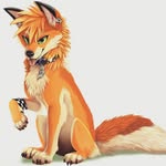 Silver Fox - @fox.silver - Instagram