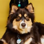 Foxy Roxy - @foxy.roxy2023 - Instagram