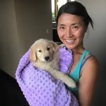 Foxy Roxy - @foxyroxy_permanentpup - Instagram
