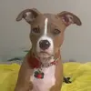 FoxyRoxy - @foxyroxy860 - TikTok