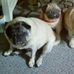 Foy Pierce - Facebook