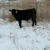 Pierce Foy - @pierce.foy6 - TikTok