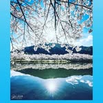 fozia  butt - @fozia3797 - Instagram