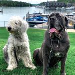 💚Fozzy Bear & One Eyed OG 😜🧡 - @onyxtheneo - Instagram