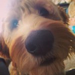 Wendy - @__fozzybear__ - Instagram