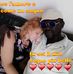 Dea Palmieri - Facebook