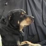 Frank Adair - @frank.adair - Instagram