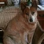 Fran Adamson - Facebook
