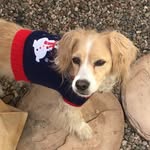Fran Adamson - @fran.appsonly - Instagram